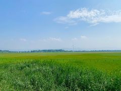 -野鸭湖国家湿地公园