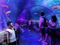 -沈阳海洋探索中心