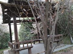 -合肥三国新城遗址公园