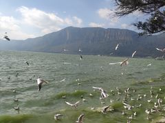 -双龙商场(环城南路店)