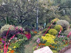 -南山植物园
