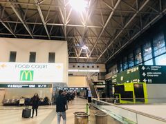 -米兰马尔彭萨国际机场