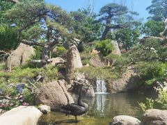 -罗红摄影艺术馆