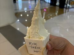 -野人先生Gelato(上海长宁龙之梦店)