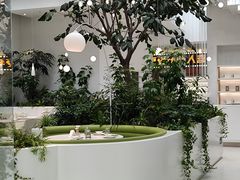 -大树餐厅(红旗街万达店)