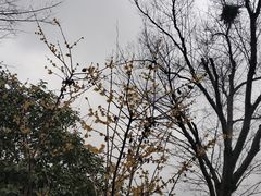 -尚贤河湿地