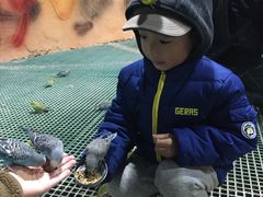 -白鹿仓冰雪海洋世界