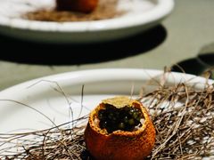 烤橘子-曲廊院(东四十一条店)