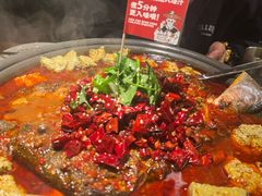 -师烤·豆花烤鱼(广州荔湾扬韬广场店)