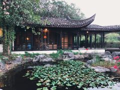 -日出青木