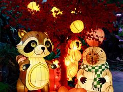 -正佳雨林生态植物园