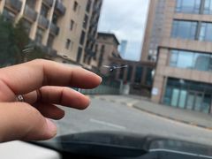 -北京福耀玻璃(总店)