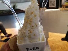 椰子冰淇淋-野人牧坊Gelato(天津南开大悦城店)