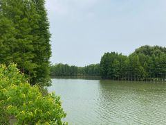 -苏州太湖国家湿地公园