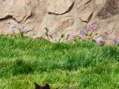 -云峰山自然风景区