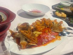-RIVIERA 松鹤楼(外滩店)