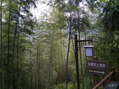 -福建土楼(南靖)景区