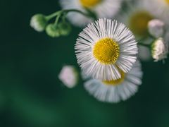 -上海滨江森林公园