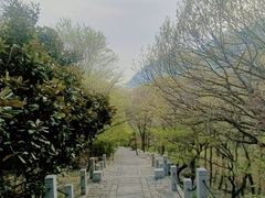 -青岛崂山太清宫
