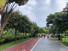 -万绿园
