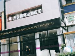 -宠爱国际动物医院· 猫科· 外科·中兽医(长白店)