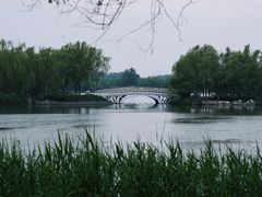 -大兴滨河森林公园