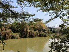 -长洲岛