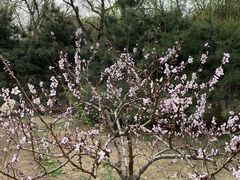 -廊坊市自然公园