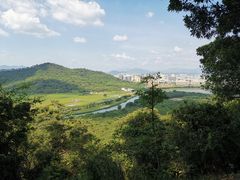 -风云岭森林公园