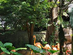 -长鹿旅游休博园