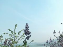 -石老人观光园