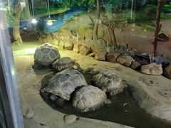 -太原动物园