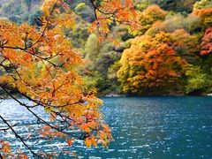 -叠溪松坪沟景区