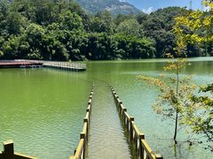 -广州市流溪河国家森林公园