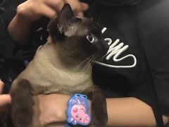 -吱咖啡西式简餐