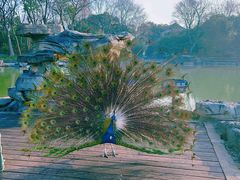 -扬州瘦西湖温泉