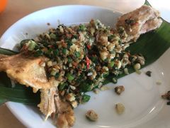 -大树下海鲜饭店