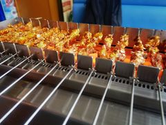 招牌牛肉串-邢氏老太太烤串(北兴街店)
