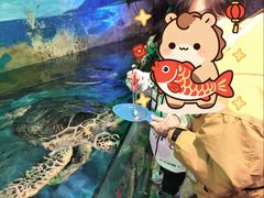 -大连圣亚海洋世界