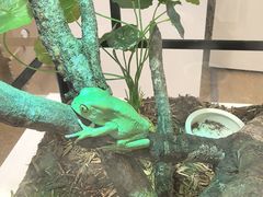 -上海昆虫博物馆