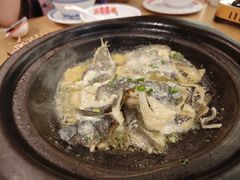 -邹开喜·炭炉鸡煲·海鲜火锅(虹口足球场店)