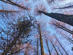 -山王坪喀斯特国家生态公园
