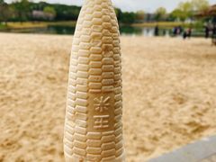 -上海佘山世茂艾美酒店