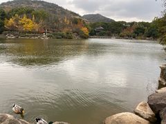 -白马涧龙池景区