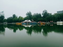 -莲湖公园