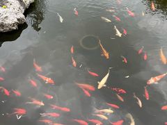 -梅园