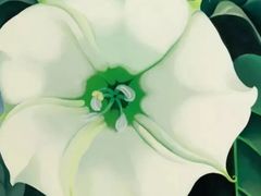 -杨梅红艺术教育(北京金源购物中心校区)