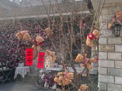-京北渔家傲