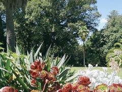 -墨尔本皇家植物园