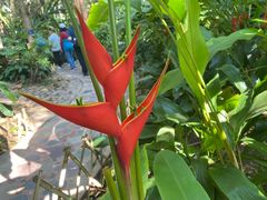 -中国科学院西双版纳热带植物园